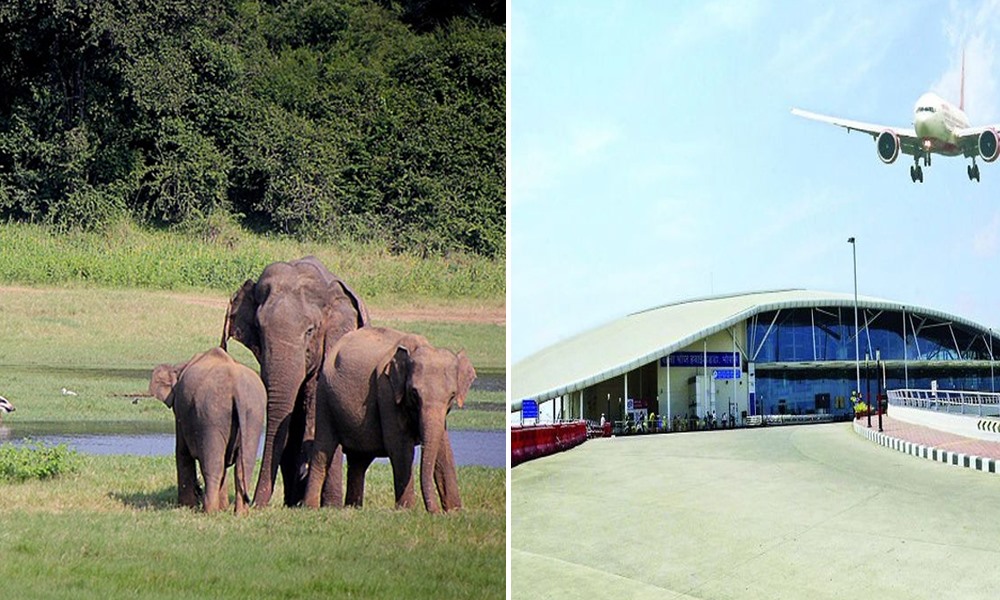 Jharkhand Puts Off Airport Construction Plans To Protect Elephant Corridor