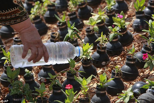 This Palestinian Woman Has A Unique Garden With Flowers Grown In Bombs