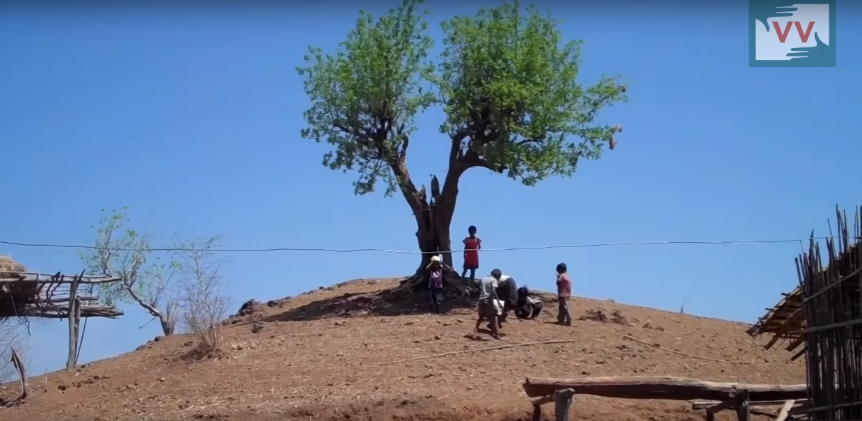 [Watch/Read] Stranded In Hope - 20 Years Later, Narmada Displaced Still Struggle For Their Land