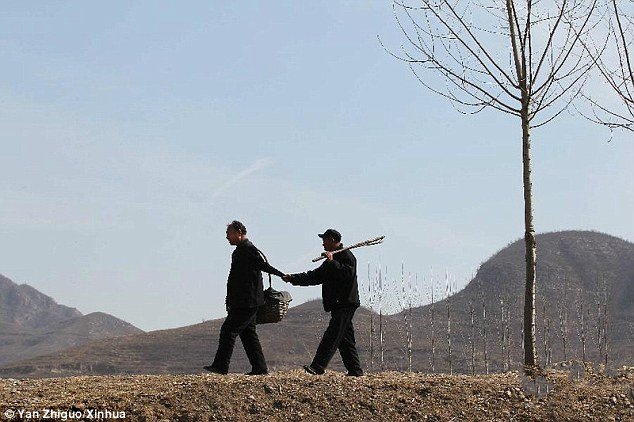 Blind Man And His Armless Friend Spend 15 Years Planting 10,000 Trees In China
