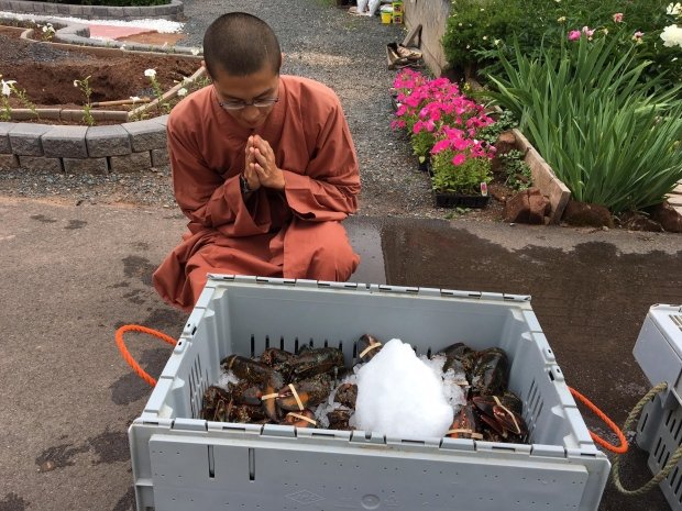 Buddhist Monks Give Back Life To 600 Lobsters - Buy Them For Rs 3.2 lakh & Release Them Into The Ocean