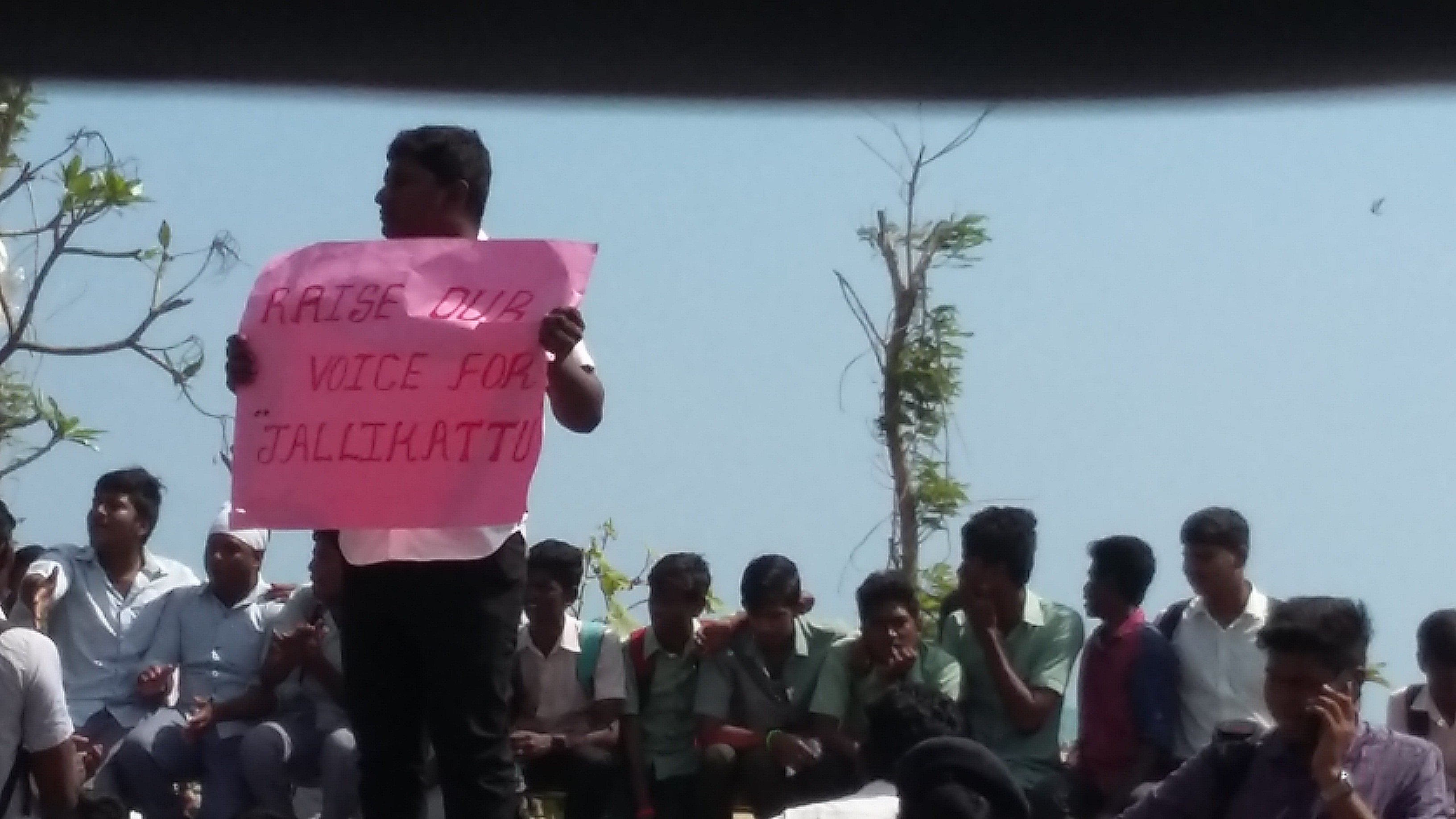 Jallikattu: People Of Tamil Nadu Grab The Issue By The Horns