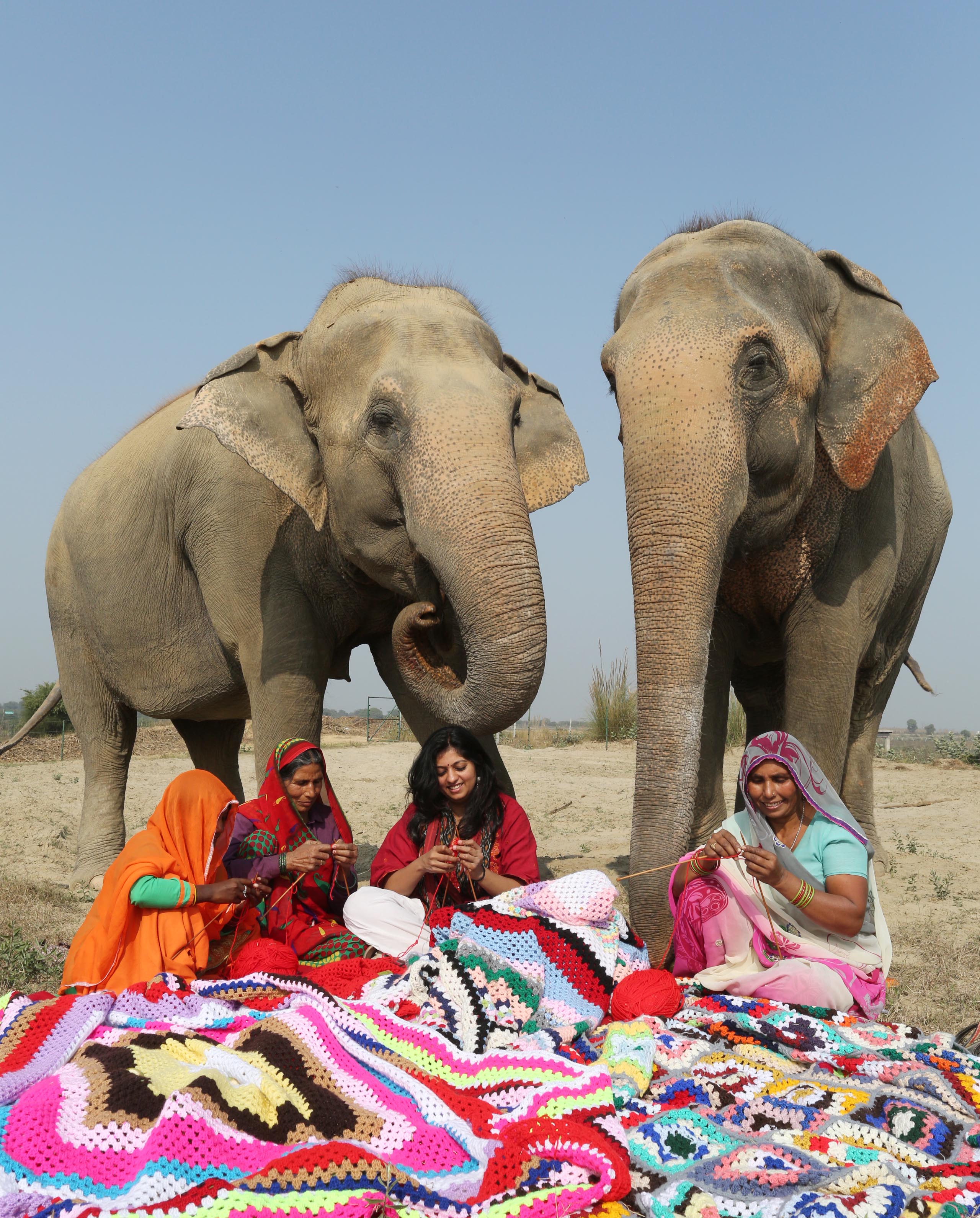 UP Villagers Knit Colourful Woollen Jumpsuits To Keep Elephants Warm In Winter