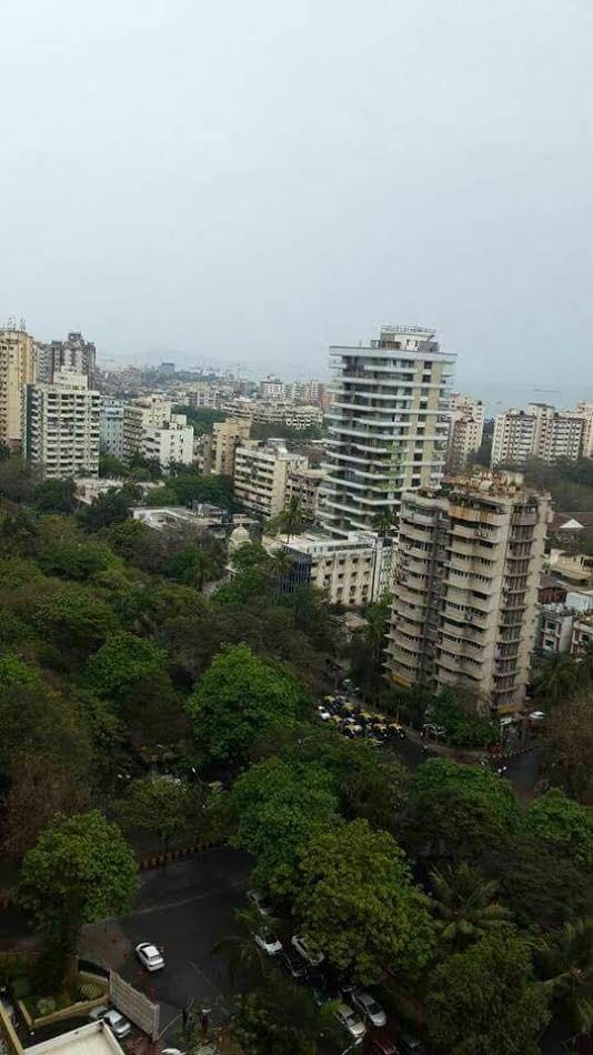 Save Aarey: Proposed Metro Shed Threatens Mumbais Last Green Lungs As It Is To Kill 2300 Trees