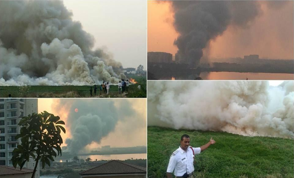 Bengaluru: Bellandur Lake Catches Fire Yet Again, No Action Taken By Authorities