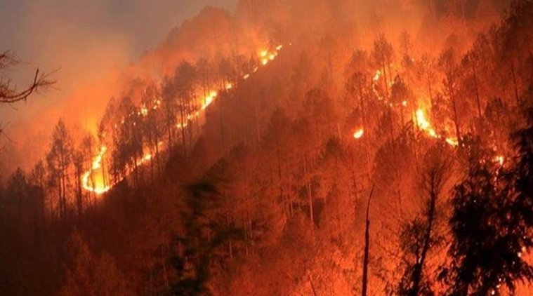 Forest Fires In India: Know About Their Causes, Control & The Policies Related To Them