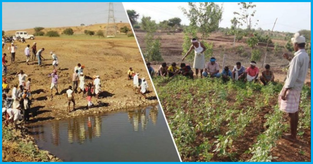 Using Old Traditions, Bhil Tribes Revive Forest & Water Resources In 800 Villages Of MP