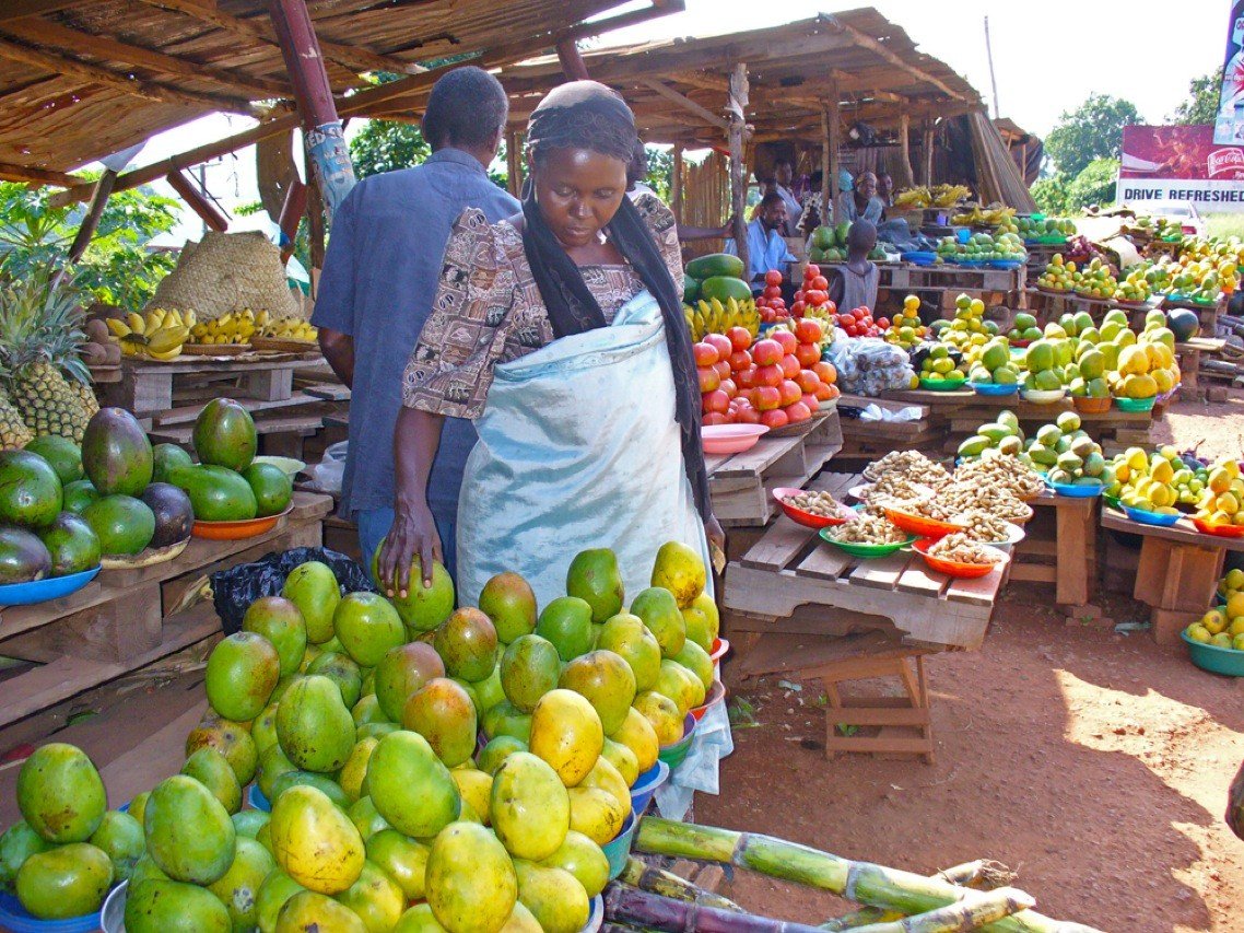 This Is How Solar Refrigerators And Other Thoughtful Innovations Are Helping Kenya Mangoes’ Farmers