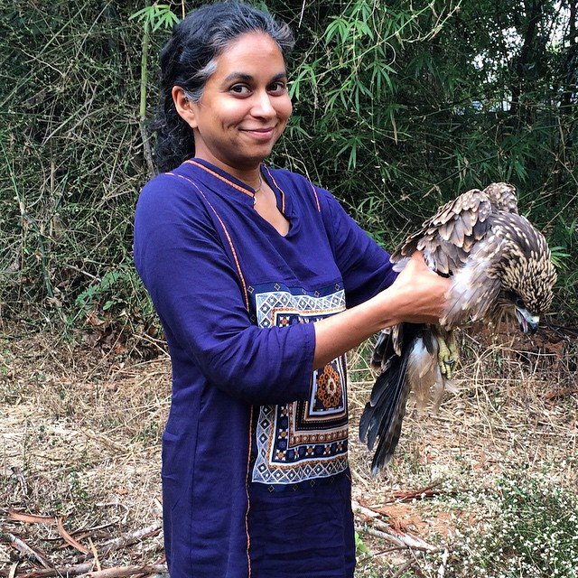 7 Reasons Why Wildlife Is On The Decline Around Bengaluru