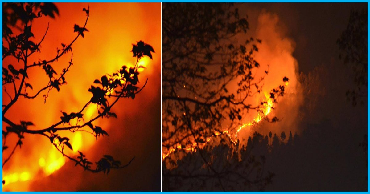 Forests Of Uttarakhand Continue To Burn Even After Last Years Massive Wildfire
