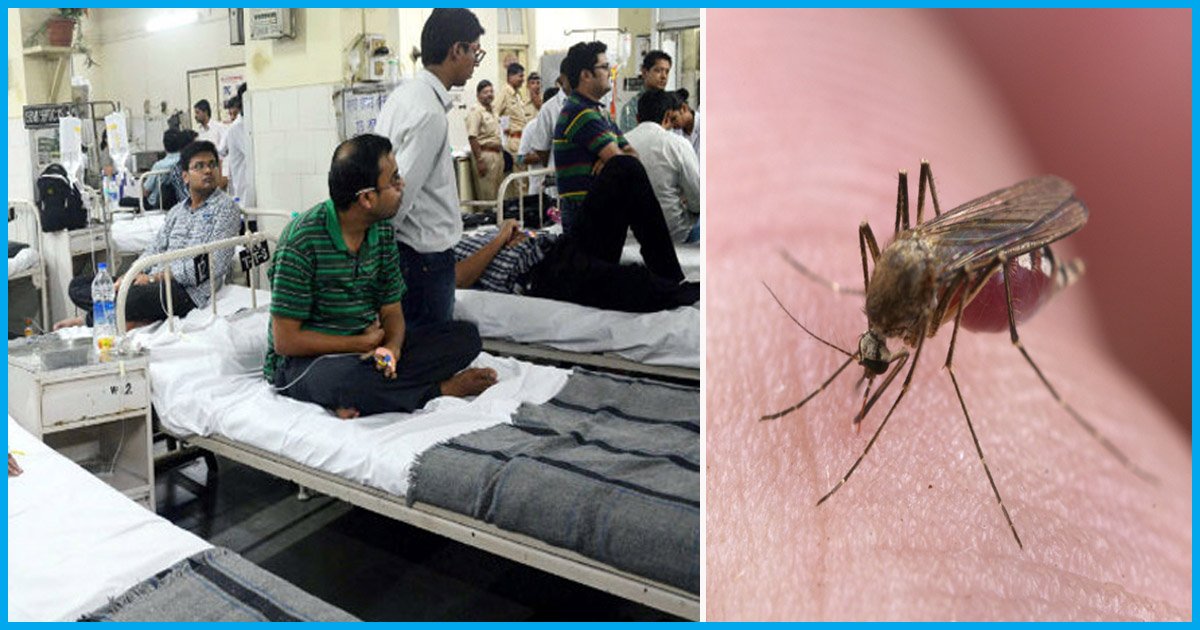 WHO Confirms 3 Cases Of Zika Virus In Ahmedabad; Know About Its Symptoms & Precautionary Measures