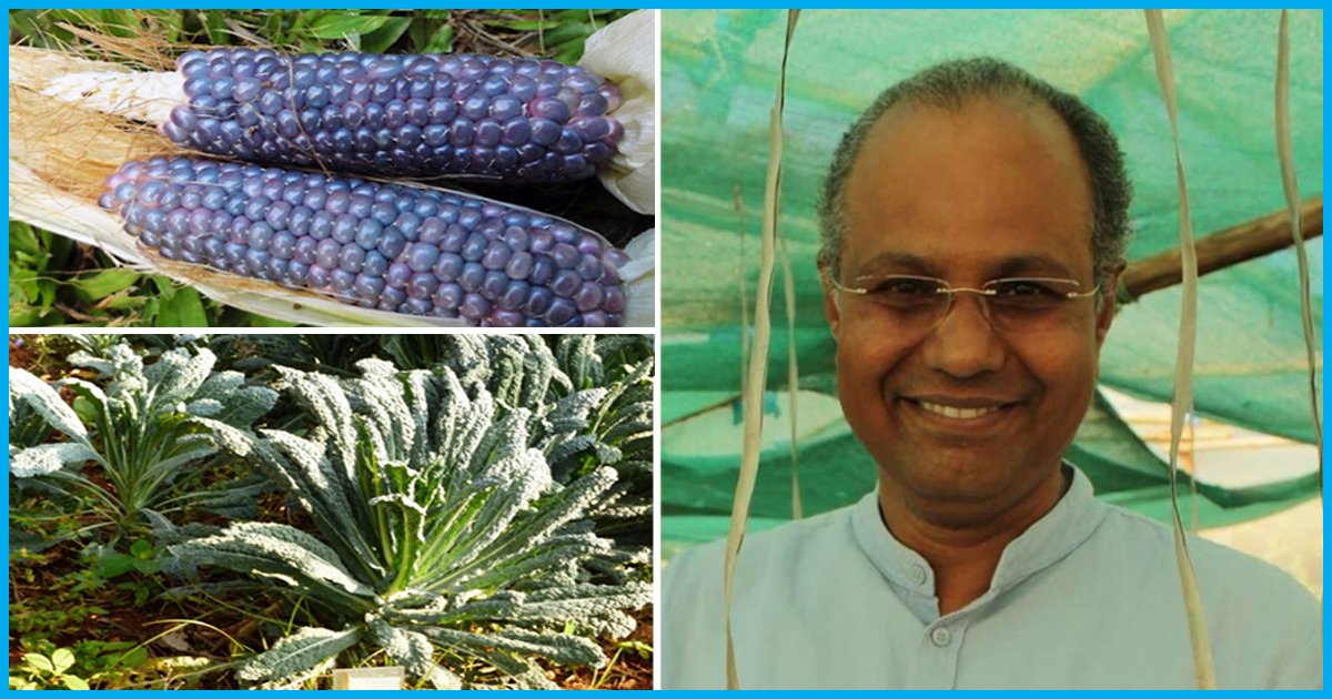 Meet The Man Who Has Been Growing Exotic Varieties of Vegetables To Maintain Biodiversity