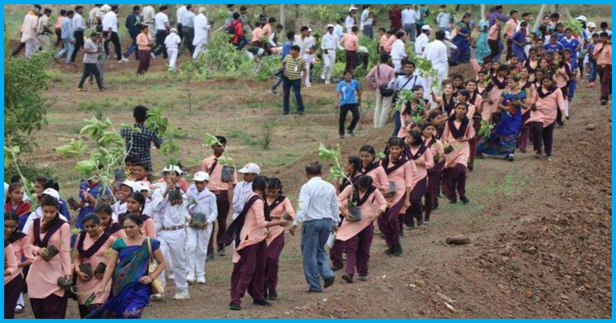 MP: 1.5 Million Volunteers Plant 66 Million Trees In 12 Hours In A Record-Breaking Environmental Drive