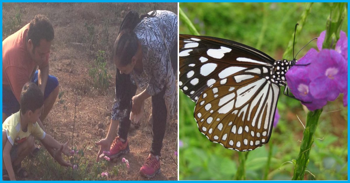 This Mumbai Family Planted Over 5,500 Saplings In 17 Years, Turning Barren Land Into Butterfly Garden