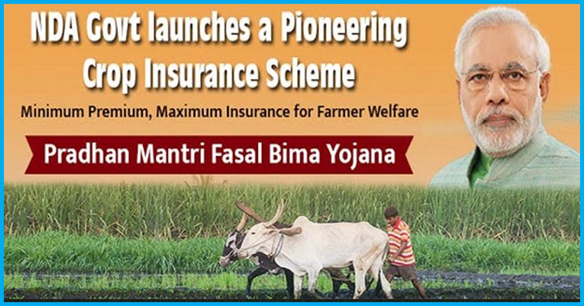 Crop Insurance Companies Made Rs 10,000 Crore Profit From Govt’s Crop Insurance Scheme: Report