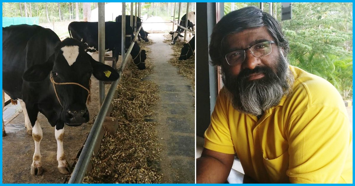 These Nine Techies Refused to Pay Bribes For 8 Years And Successfully Set Up An Organic Dairy Farm