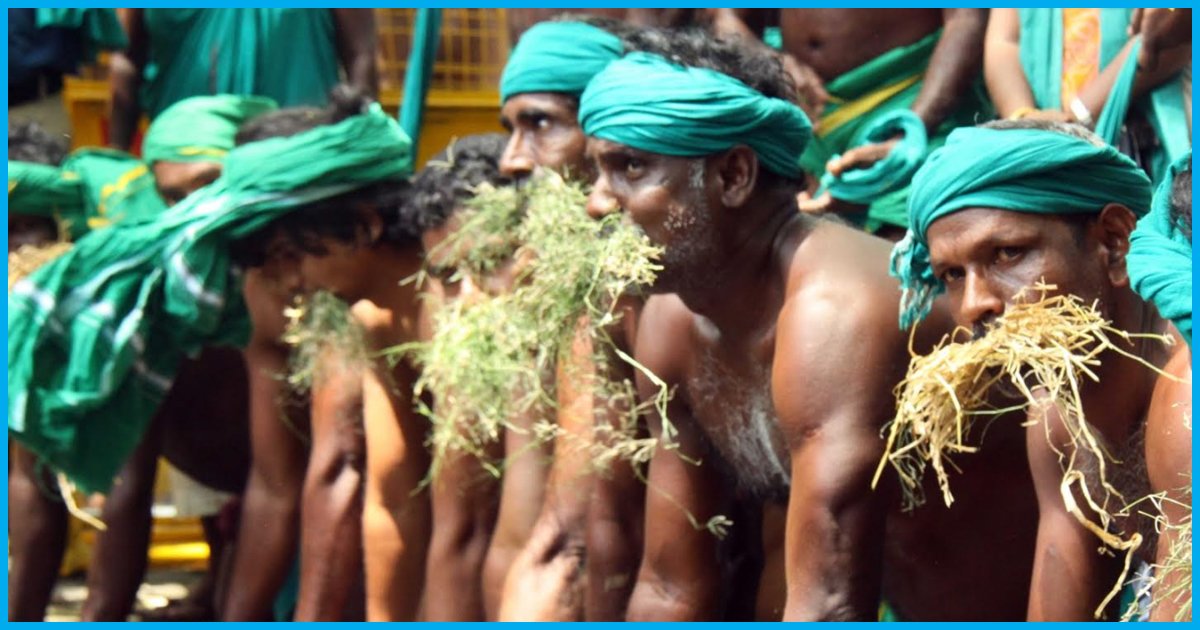 Tamil Nadu Farmers Eat Their Own Excreta At Jantar Mantar, Warn To Hold Nude Protest On The 100th Day