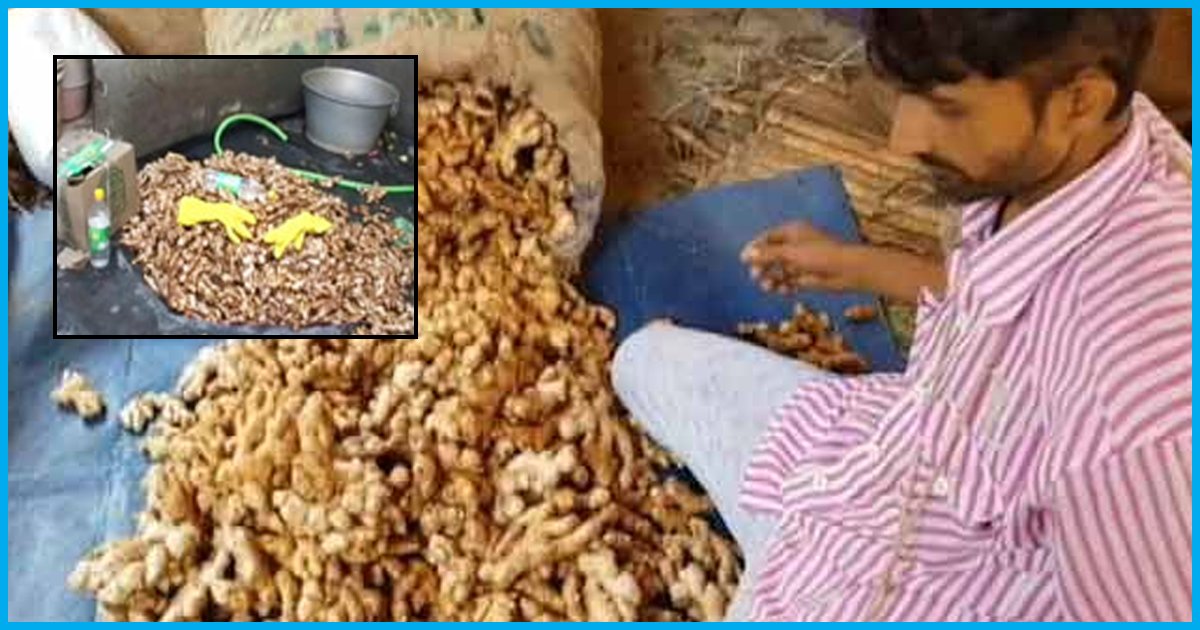 Beware Of Adulteration: Ginger Being Washed By Acid To Make It Shiny, 6 Godowns Raided In Delhi