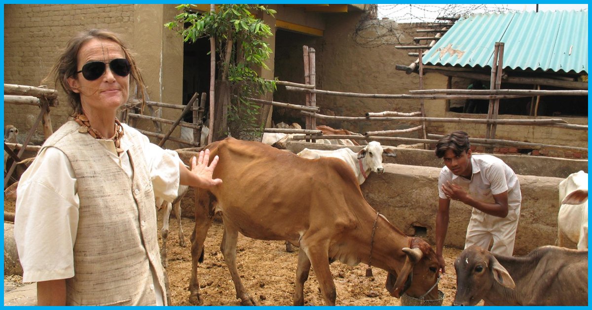 This German Woman Is Living In India For Nearly 40 Years & Taking Care Of 1,200 Abandoned Cows