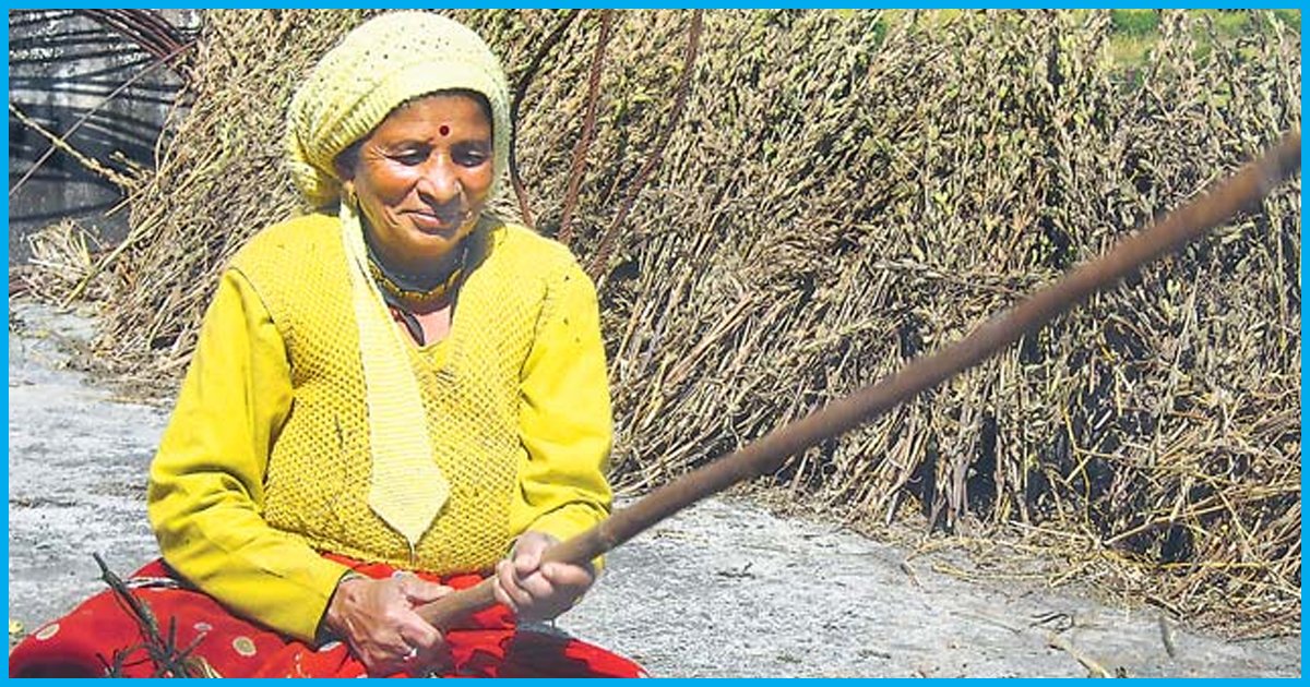 An Unlettered Woman Took On The Timber Mafia And Electrified Her Village