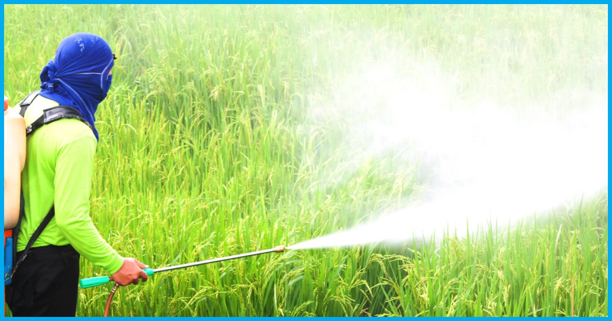 Maharashtra: 9 Farmers Die & 4 Others Lose Eyesight After Falling Prey To Toxic Pesticide Spray