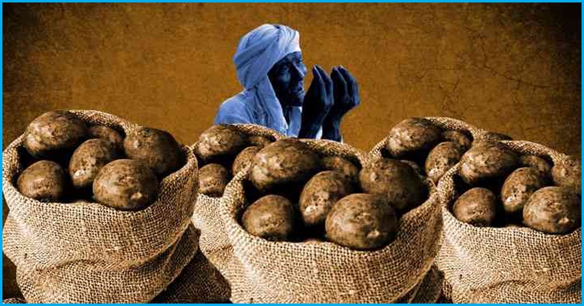 Agra: Farmers Forced To Sell Potatoes At 20 Paise/Kg
