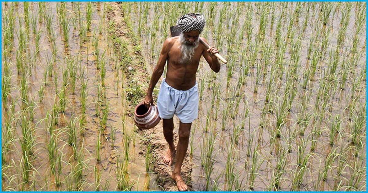 RBI Data Shows Worsening Distress In The Farming Sector Yet Farmers Are Better Borrowers Than Corporates