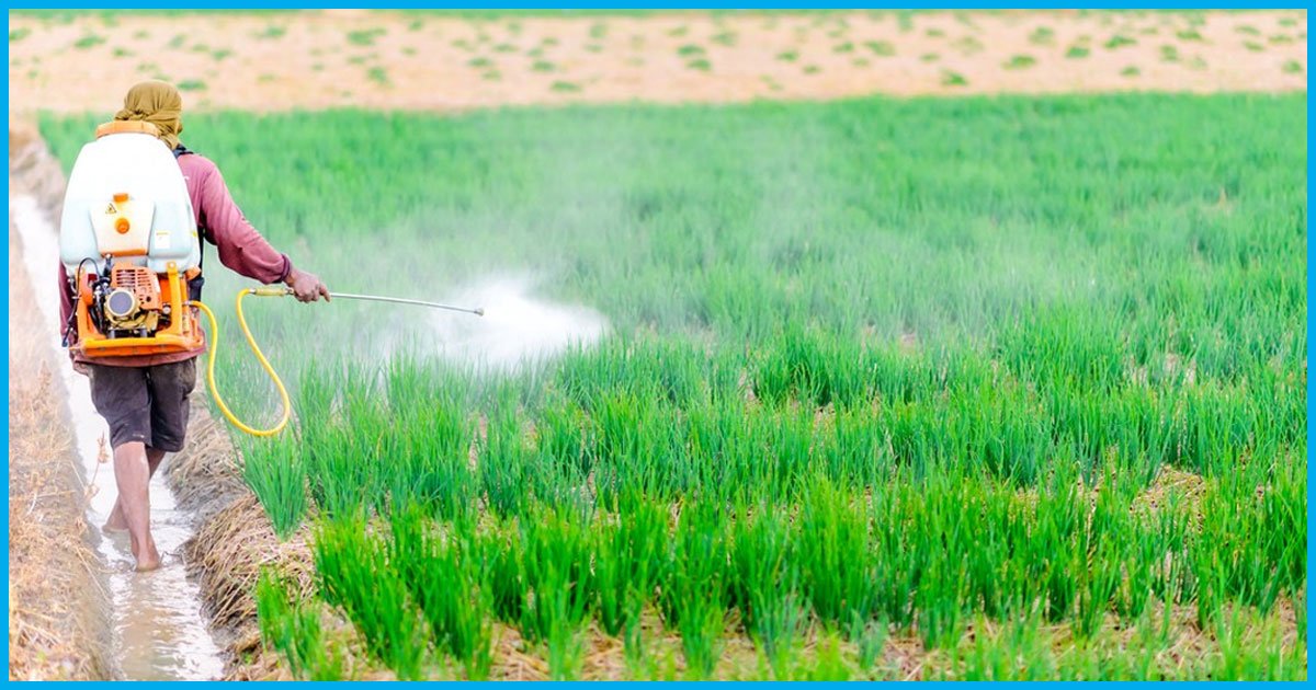 Punjab Government Bans Sale Of 20 Pesticides In The State; Know About Them