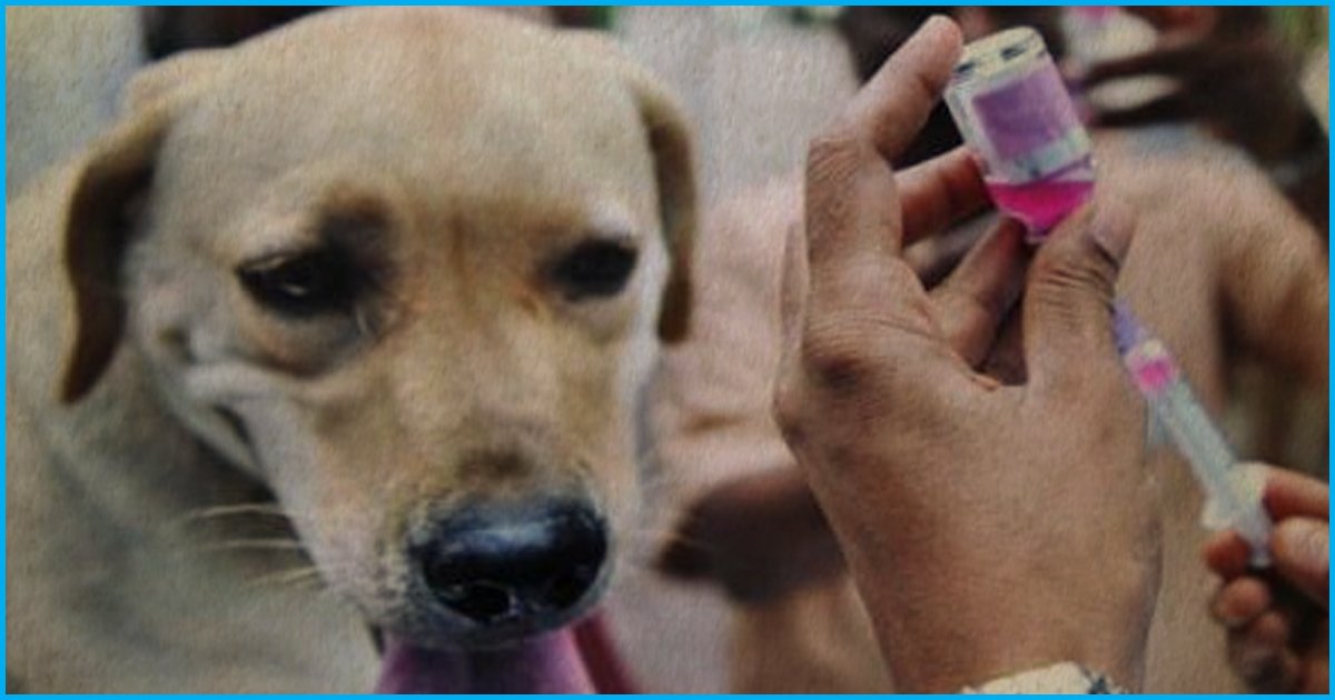 Indian Doctors Rabies Treatment That Might Reduce Cost by 100 Times Approved By WHO