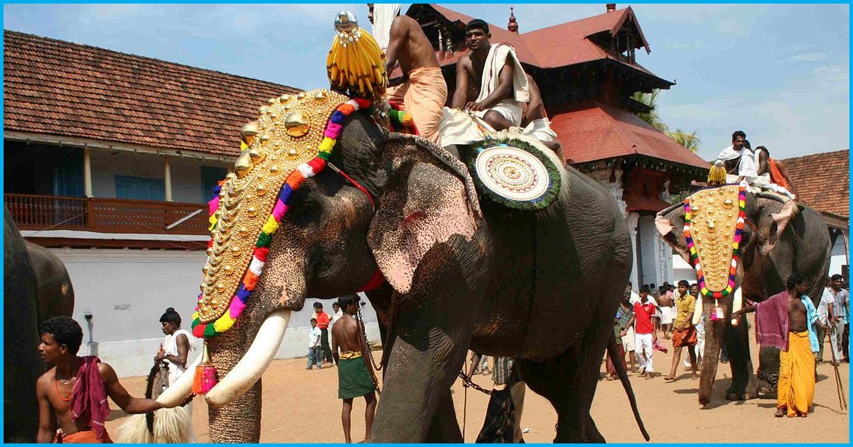 Kerala Temple Sets An Example By Replacing Elephants With Wooden Structures For Festivals