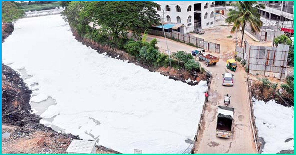 Bengaluru: Out Of 53 Water Bodies, Only Two Lakes Pass Quality Test