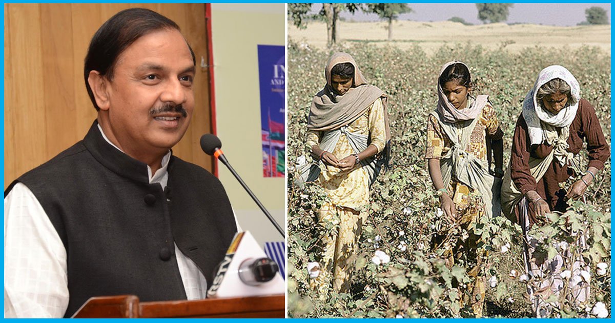 Union Minister Says Pesticide Usage Reduced, Cotton Yield Increased Because of BT Cotton. Is It True?
