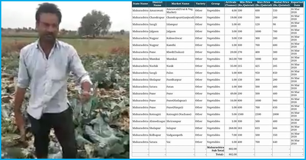 Maharashtra: 400 Kgs Of Cauliflower For Rs 442; Farmer Destroys Crop In Anger