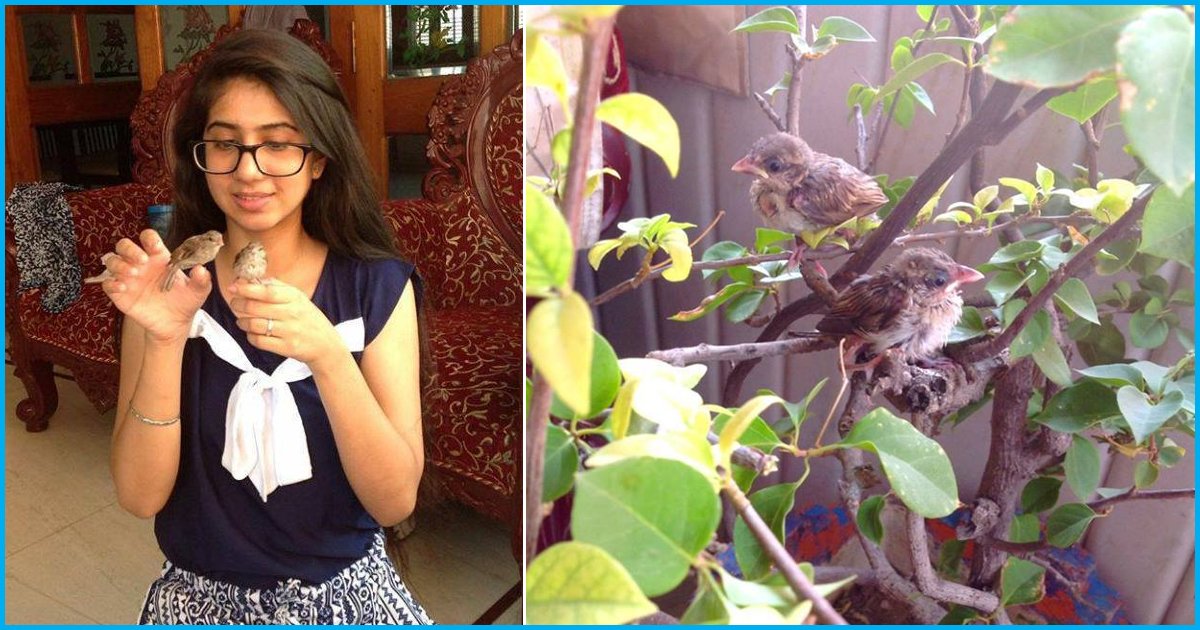 Meet The Benaras Family That Has Transformed Their Home Into An Abode Of Hundreds Of Sparrows