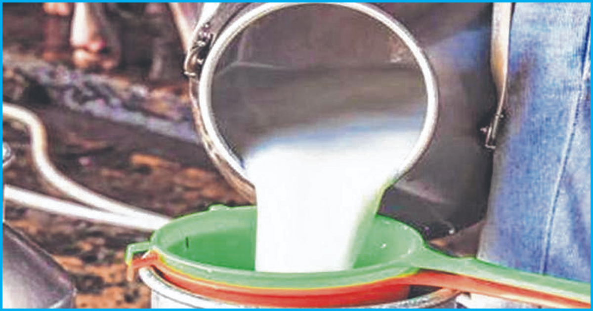 Maharashtra: Dairy Farmers Distribute Milk For Free To Protest Low Minimum Support Price