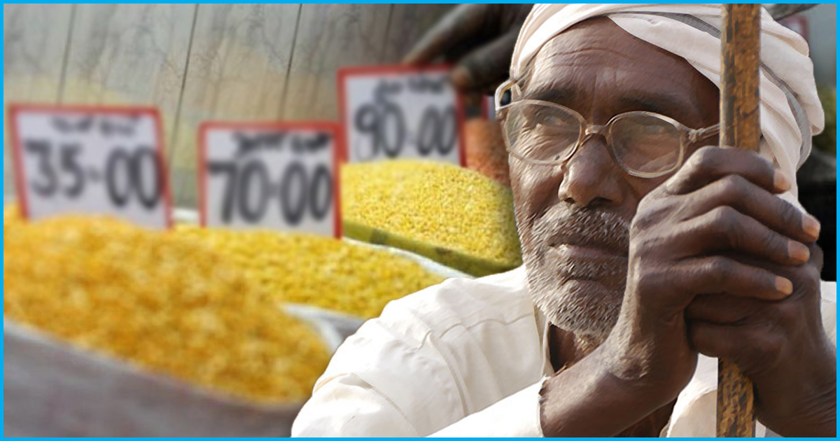 Govt Allows Import Of Pulses From Mozambique, Even As 6 Lakh Tons Of Pulses Lies Unsold With Farmers