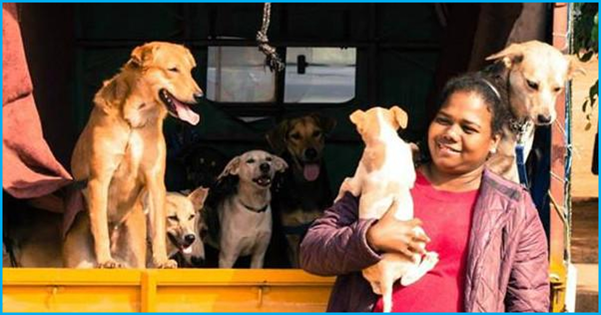 Rs 1000 Fine For Bangalore Dog-Owners Who Fail To Get A License For Their Dogs