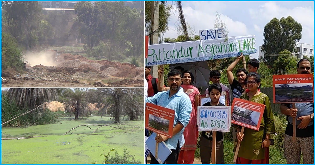 Bengaluru: Citizens Fight To Save 975-Year-Old Lake From Land-Grabbers; Demand CM Intervention