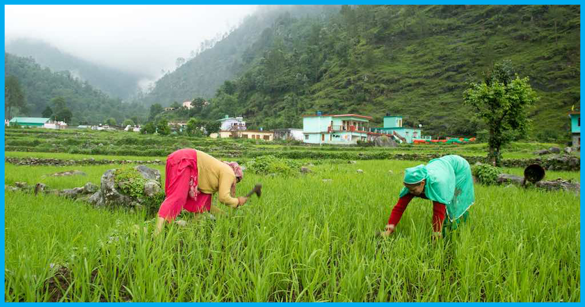 Uttarakhand: Mountain Women Live And Work With Bent Backs