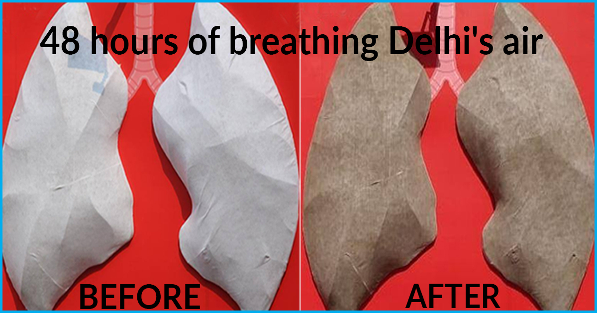 Delhi: Within 48 Hrs, Human Lung Replica Turns Dark Grey In The Capitals Toxic Air