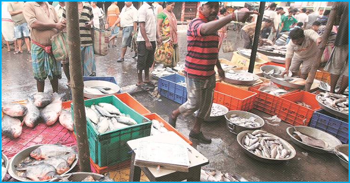 Goa: Over Formalin Scare In Fishes, Govt Bans Import From Karnataka & Other States