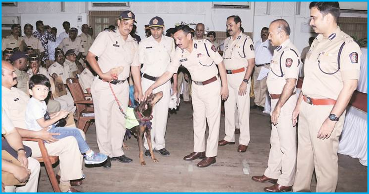 Farewell My Furry Friend: Mumbai Police Dogs Get Emotional Send-Off After 10 Yrs Of Service