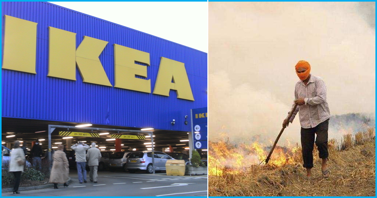 To Reduce Stubble Burning, IKEA Decides To Convert Rice Straw Into Household Wares