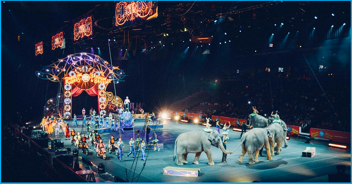 Centre Proposes To Ban The Use Of All Animals In Circuses