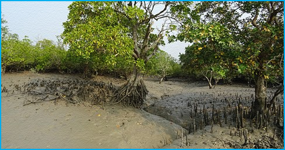 An Island In Sunderban Is Disappearing Due To Rising Sea Water; Residents Left Without A Home