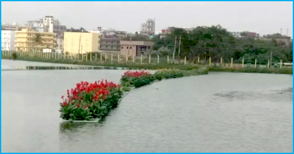 From Garbage Dump To “India’s Largest Floating Island,” This Bengaluru Lake Is In Limca Book of Records