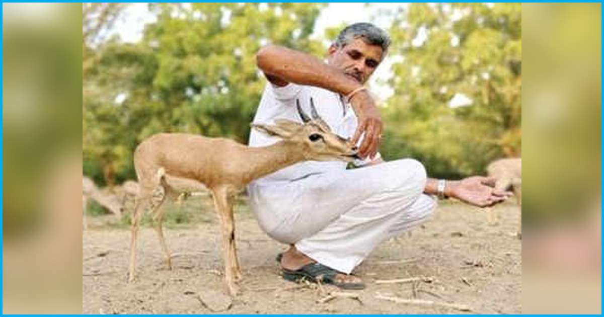 From Blackbuck To Desert Fox, This Rajasthan Mechanic Has Saved Over 1000 Wild Animals