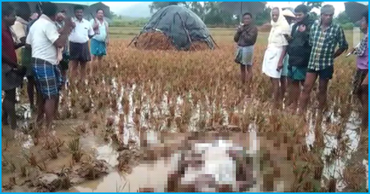 Andhra Pradesh: Farmer Dies In Shock After Seeing Crops Damaged By Cyclone Phethai