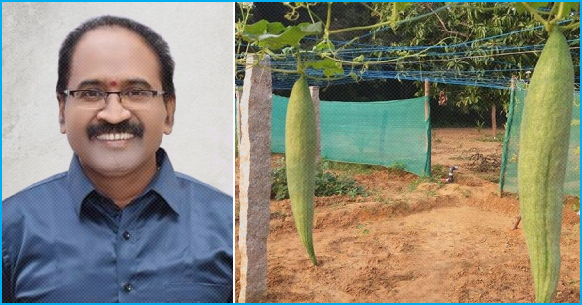 TN: To Meet Nutritional Needs, This Doctor Grows Organic Crops For His Patients