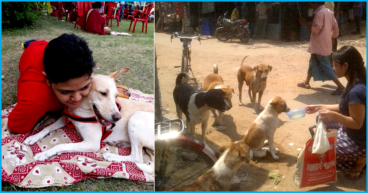 Compassion At Work: This Kolkata Team Is Independently Working To Give Stray Dogs A Healthy Life